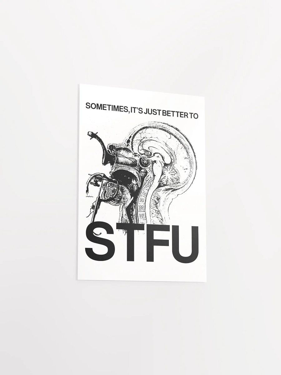 STFU - Poster product image (10)
