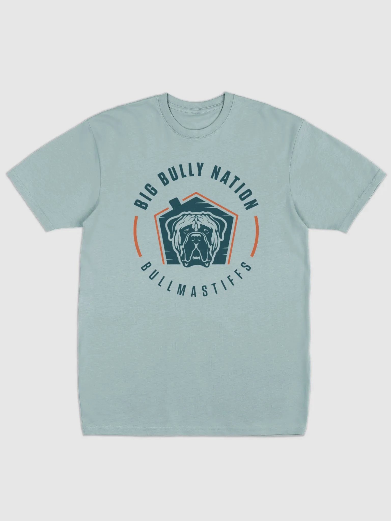 BBN Logo 2 Men's Tee product image (6)