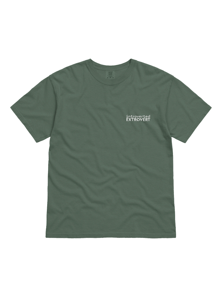 introverted extrovert - embroidered tee product image (6)