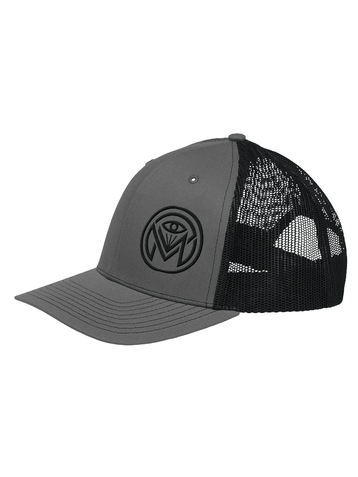 VANISH Mesh Cap product image (2)