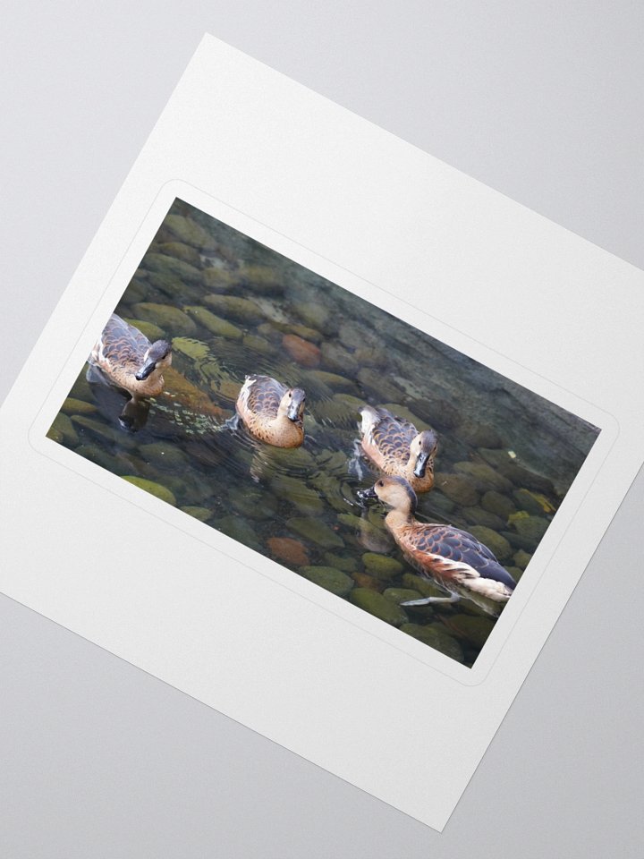 Tranquil Duck Pond Stickers product image (2)
