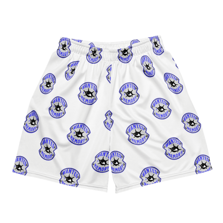 ORIGINAL MESH SHORTS 002 product image (1)