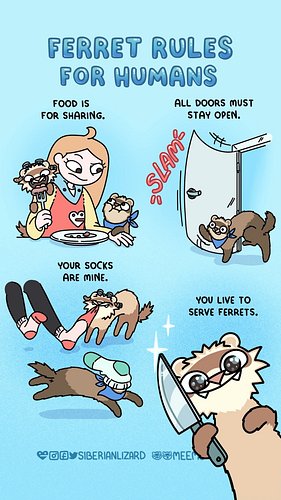 Ferrets don’t follow rules. They enforce them. Obey or be dooked at. 🐾
#ferrets #ferretlife #ferretsofinstagram  #webcomic #m...