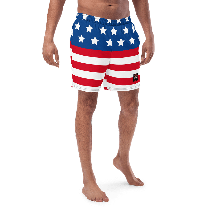 Stars and Stripes Hamburger Swim Trunks product image (1)