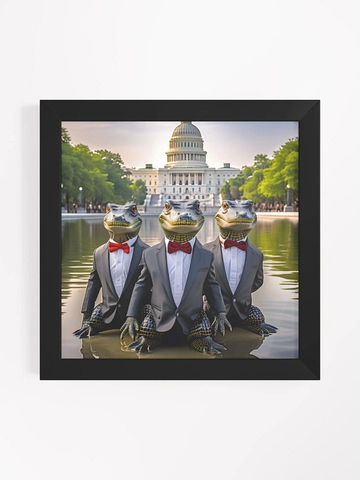 Gators in D.C. product image (1)