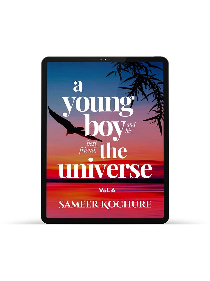 A Young Boy And His Best Friend, The Universe. Vol. 6 [eBook] product image (1)