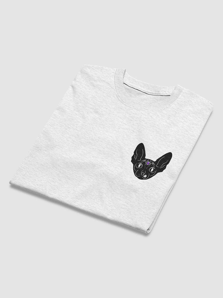 LUCIEN graphic T product image (19)
