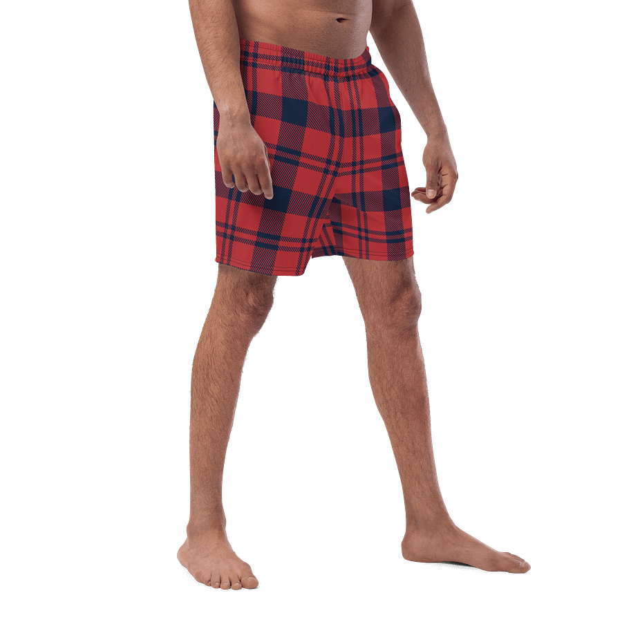 Buffalo Plaid Paradise Swim Trunks product image (3)