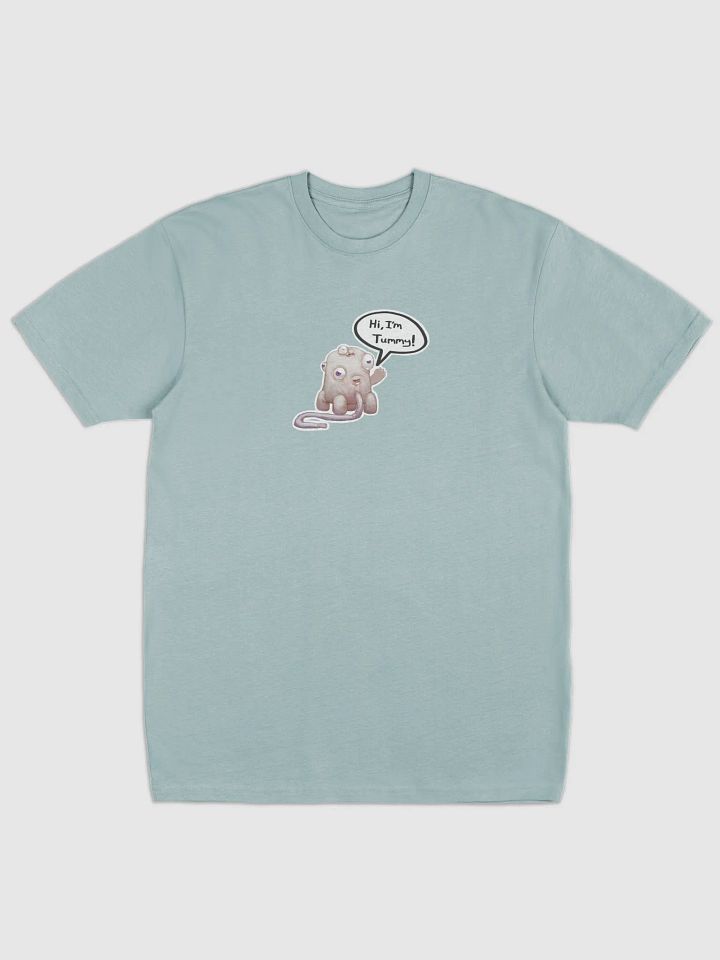 Tummy Cotton Heavy Weight Tee product image (1)
