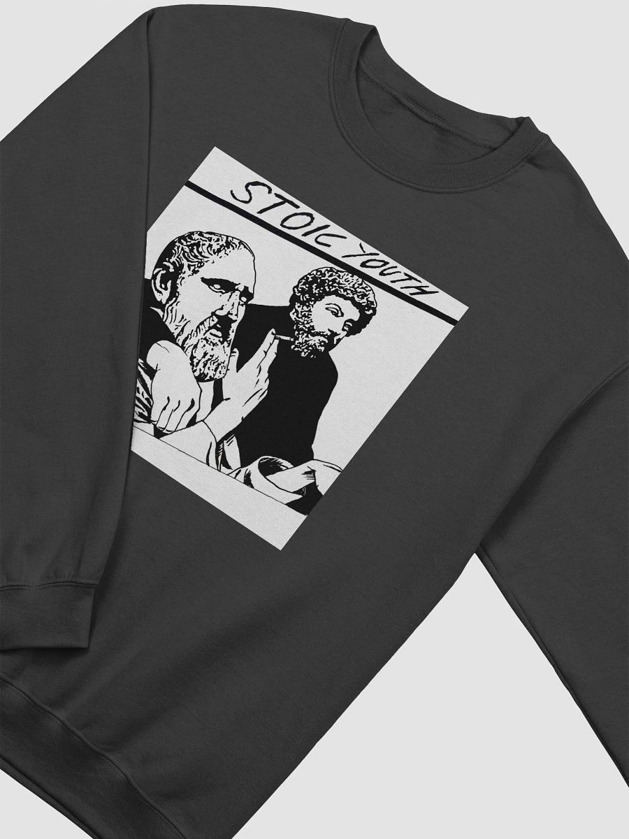 Stoic Youth Gildan Classic Crewneck Sweatshirt product image (3)
