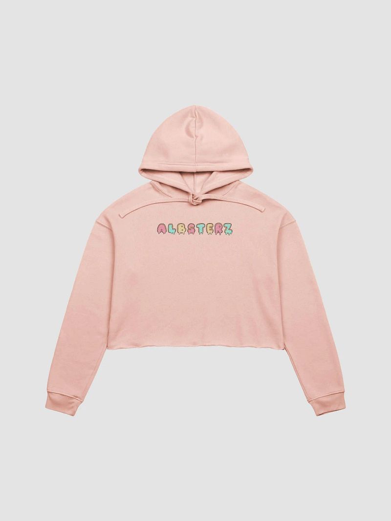 Albsterz Crop Hoodie