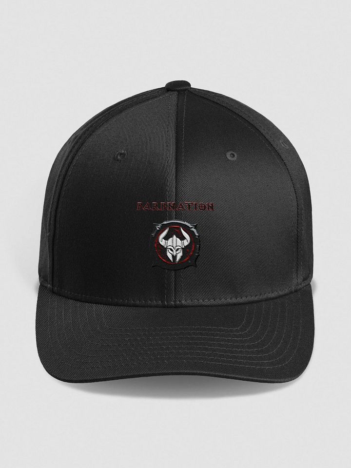 Barbnation embroidered hat product image (8)