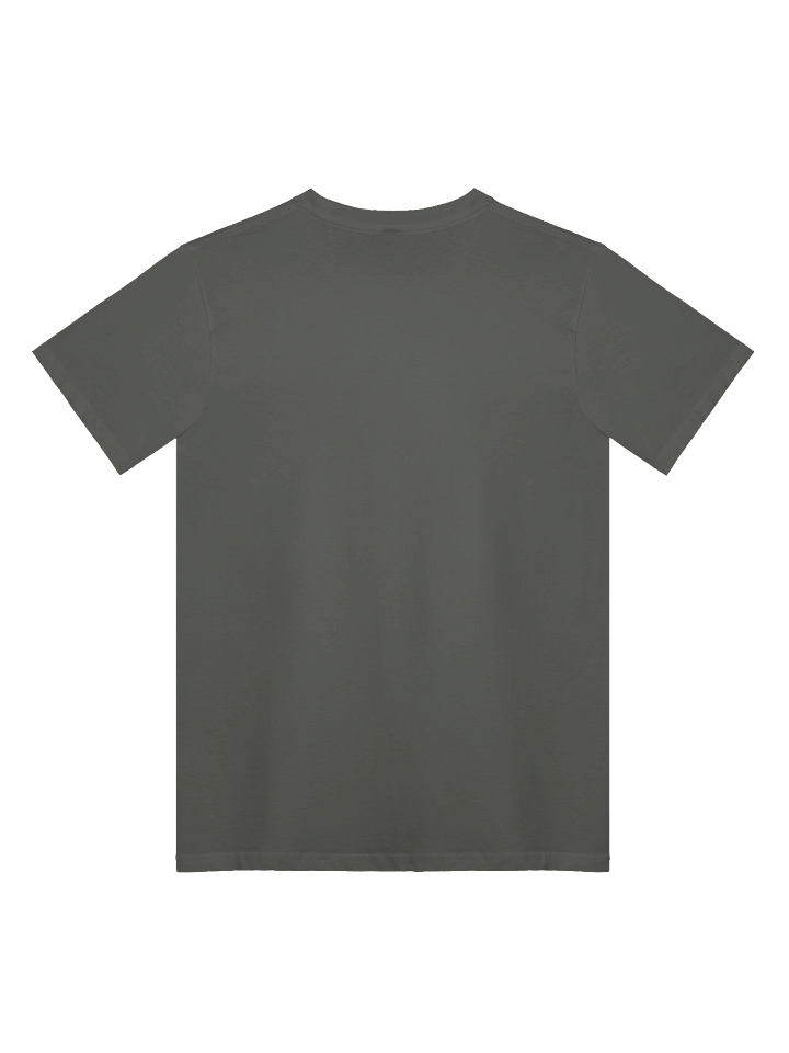 AS Colour Unisex Premium T-Shirt product image (5)