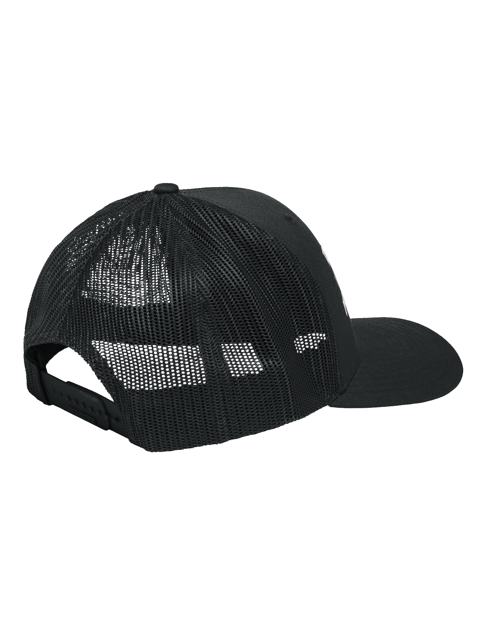 The Truth Snapback product image (20)