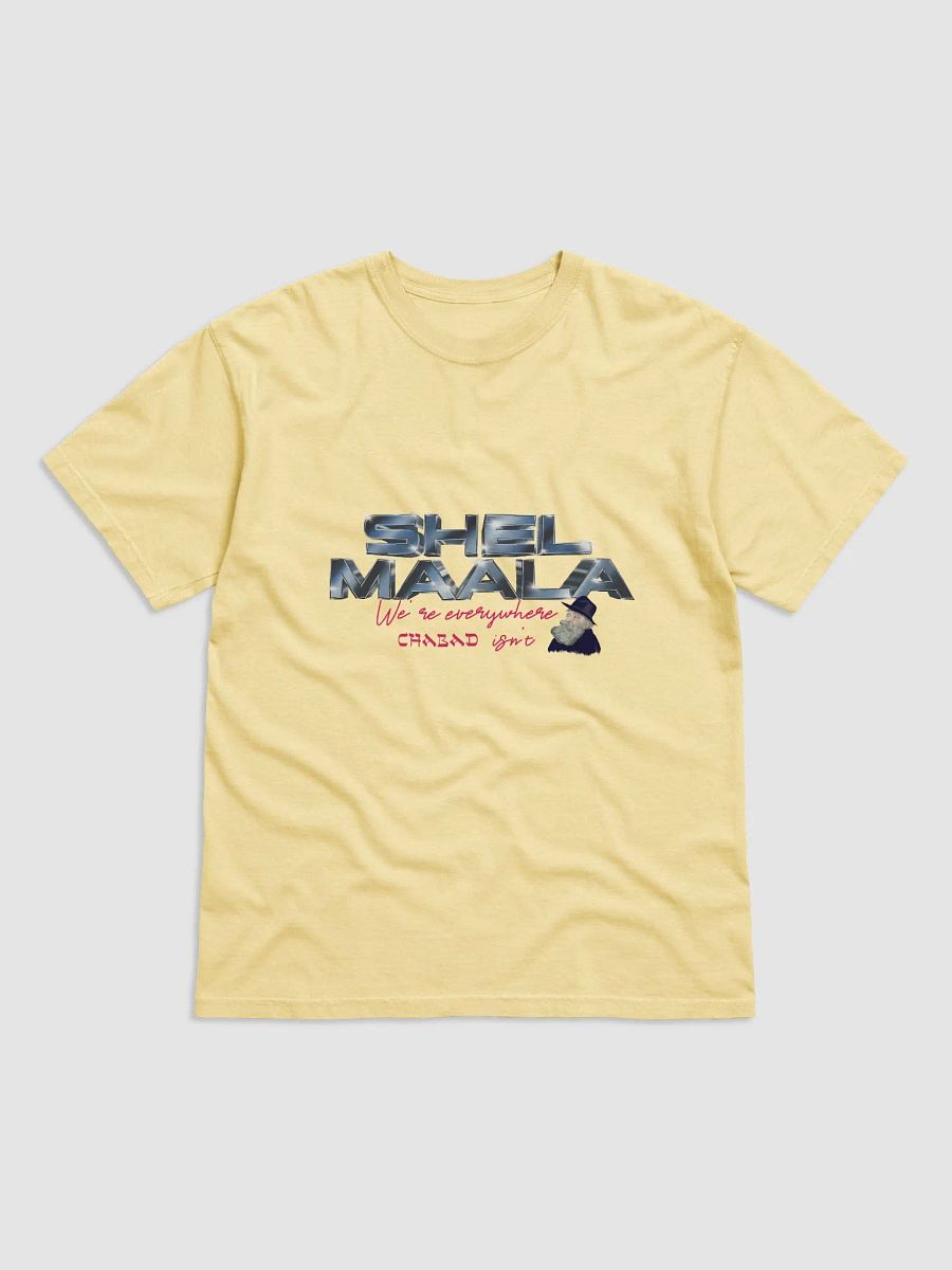 We're Everywhere Chabad Isn't Tee product image (4)