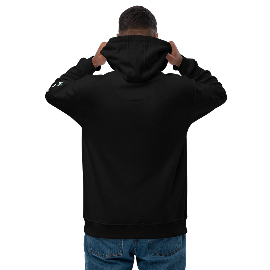 PARADOX ABOVE ALL HOODIE product image (12)