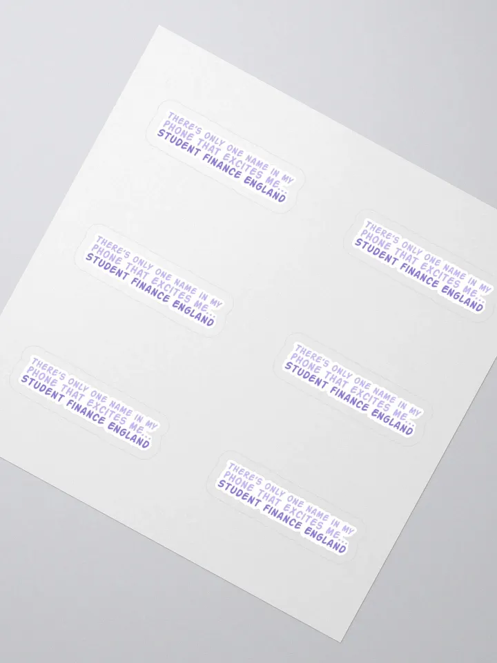 Student Finance Sticker (MEDIUM Sheet) product image (2)