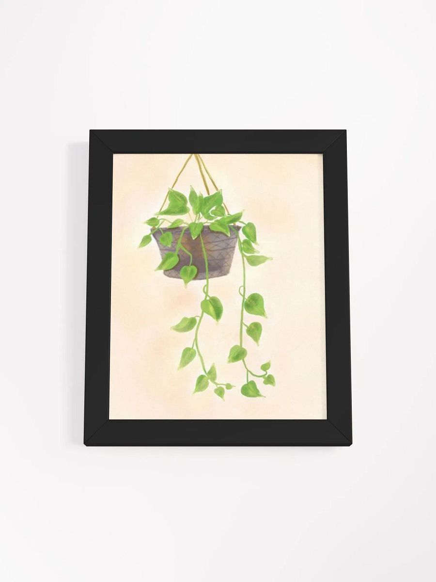 Hanging Plant product image (7)