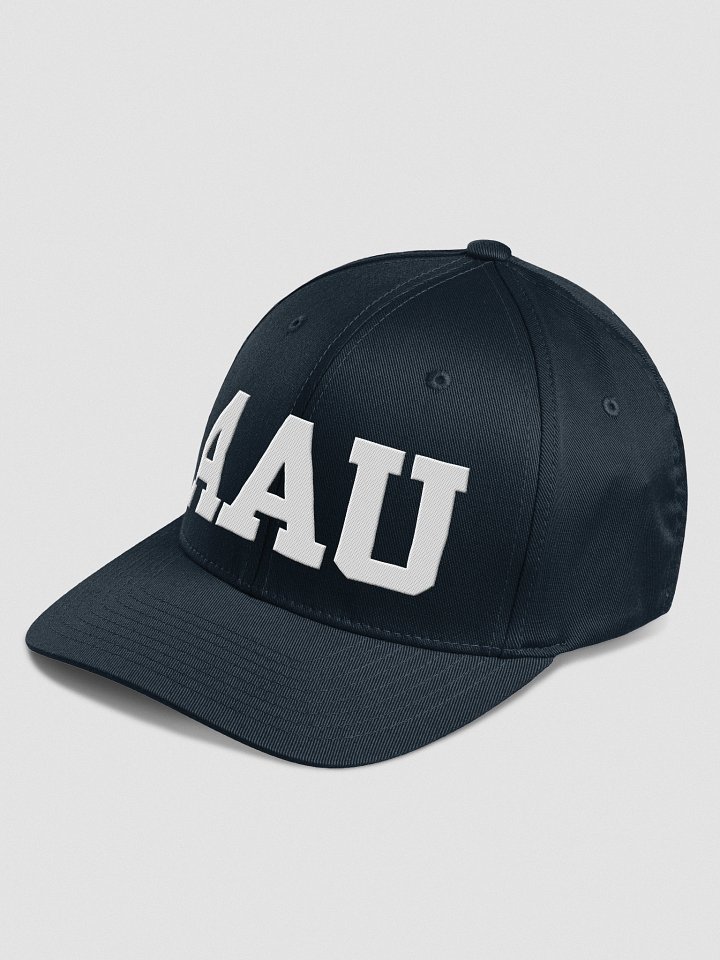 AAU Flexfit Structured Cap product image (14)
