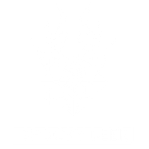 SpookyDeer