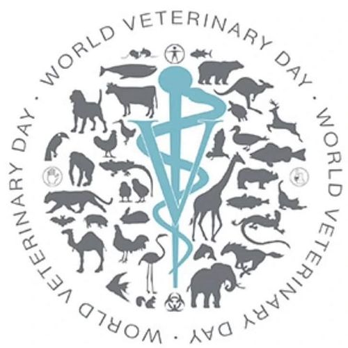 Happy World Veterinary Day!

For as long as I've had memories, being a veterinarian is all I ever wanted. I'm so honored to b...