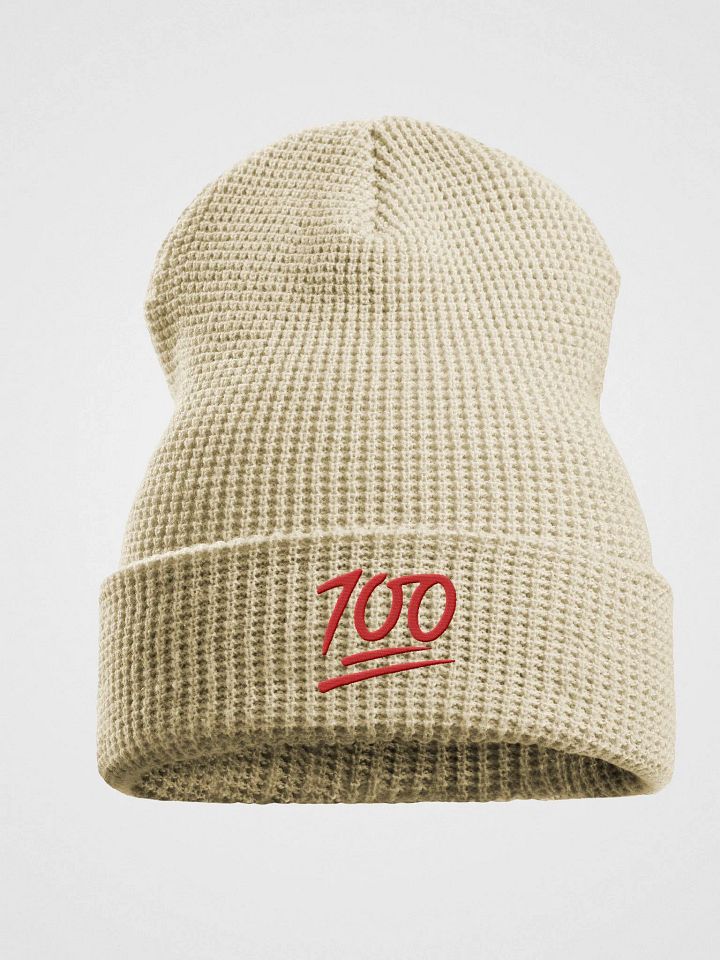 100 Embroided Bennie Hat By Nopa product image (1)