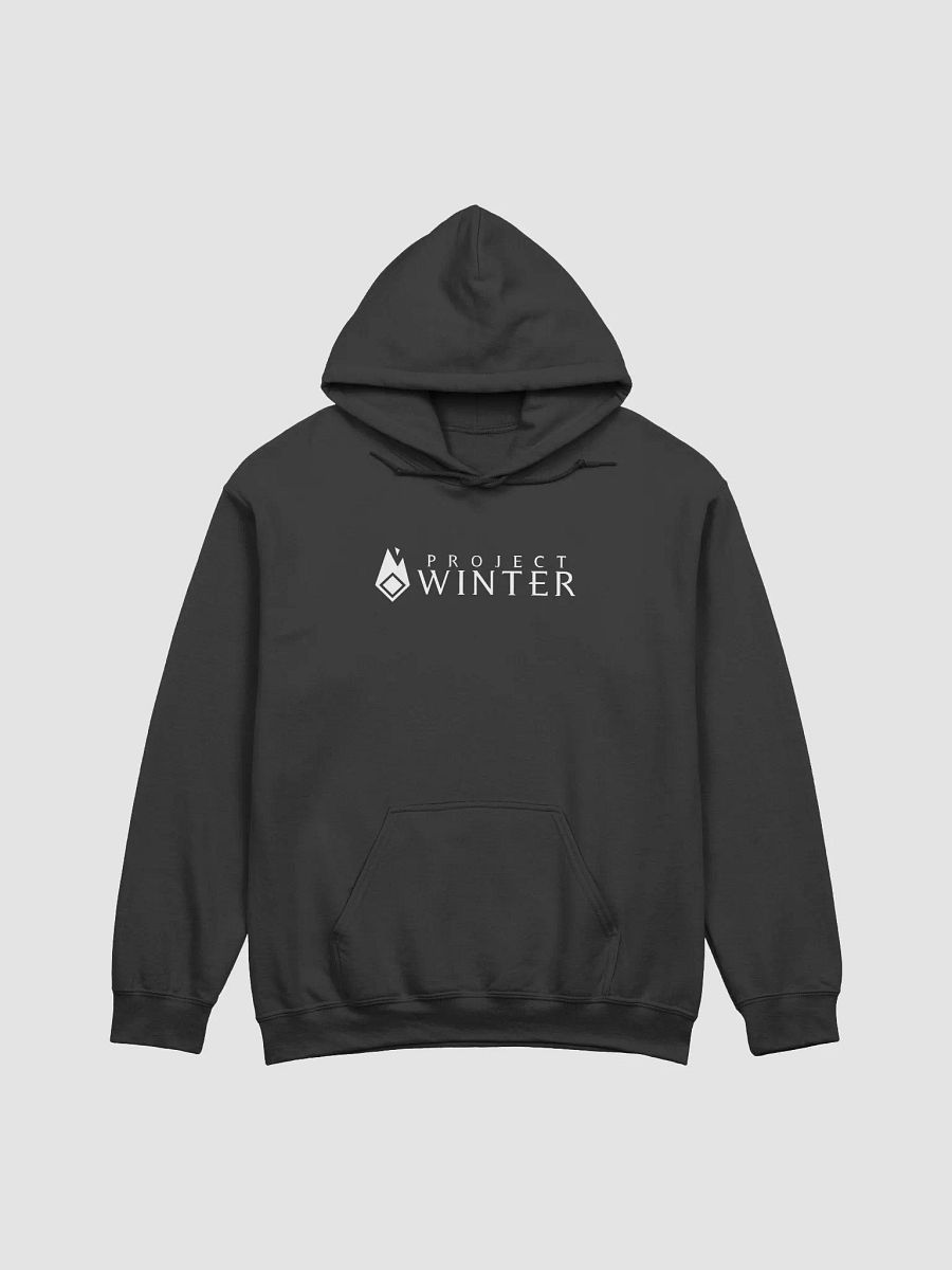 Basic Logo Hoodie product image (1)