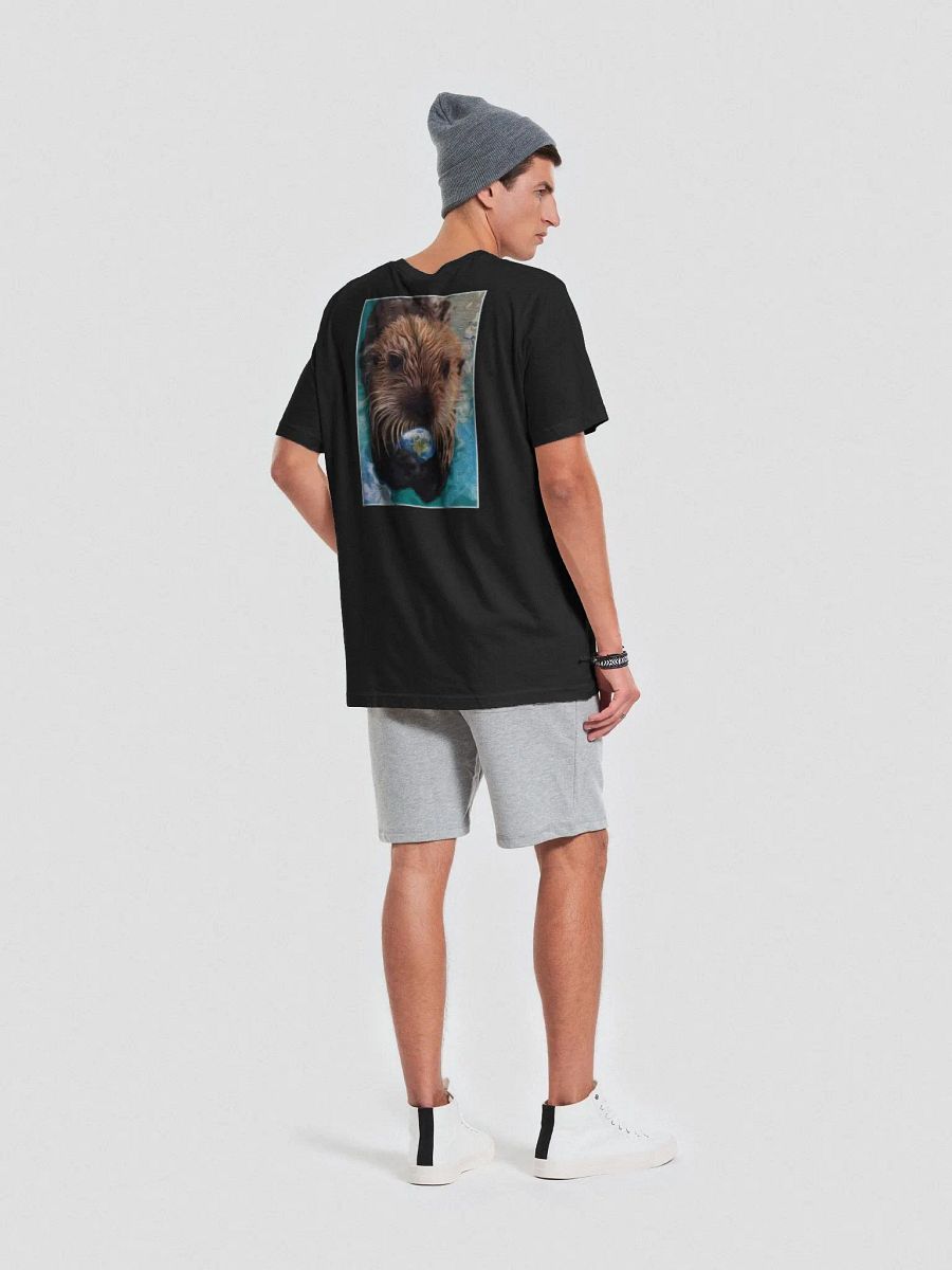 Otter This World Bella+Canvas Tee product image (77)