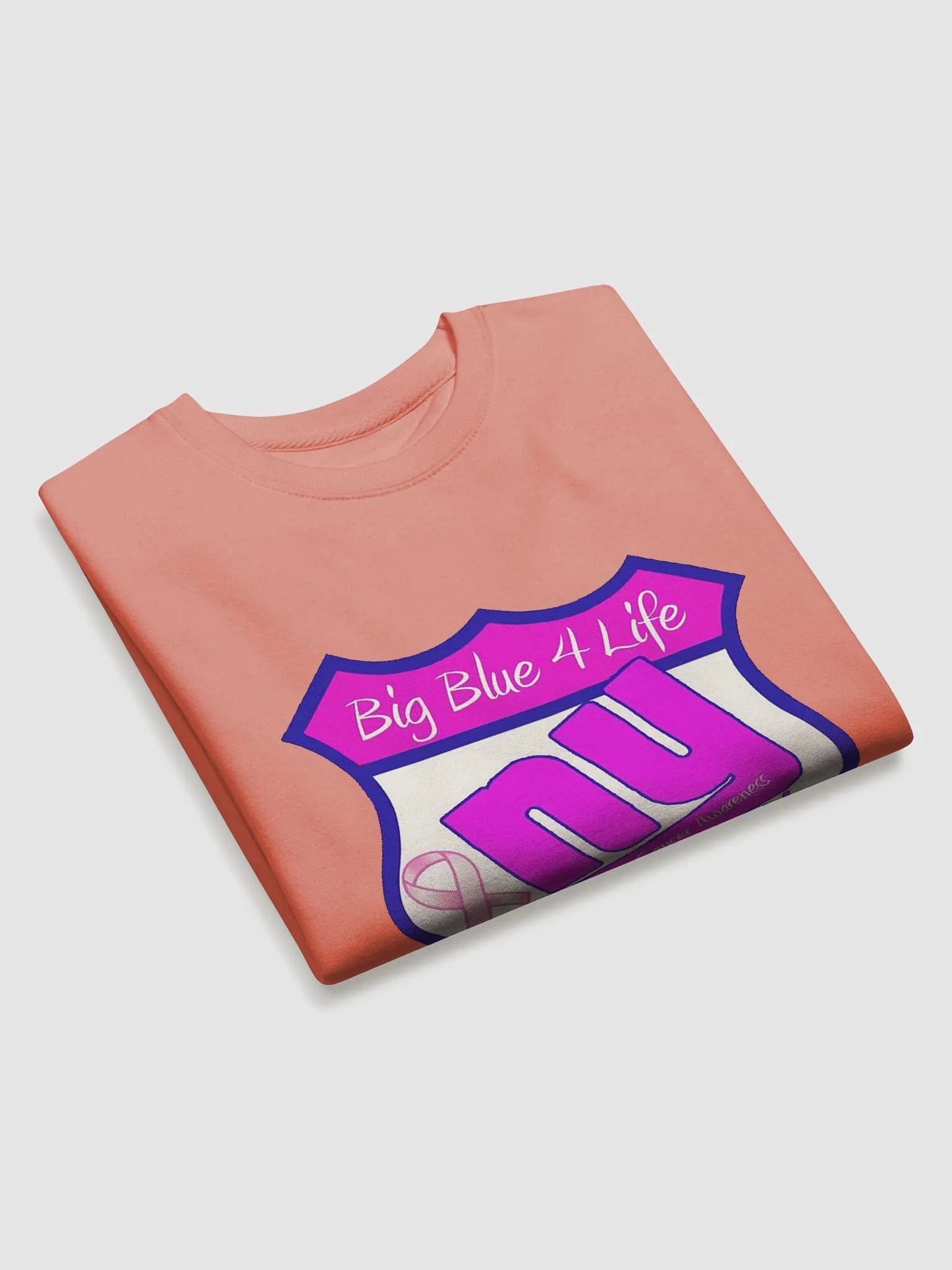 BB4L Breast Cancer Awareness Sweatshirt product image (32)