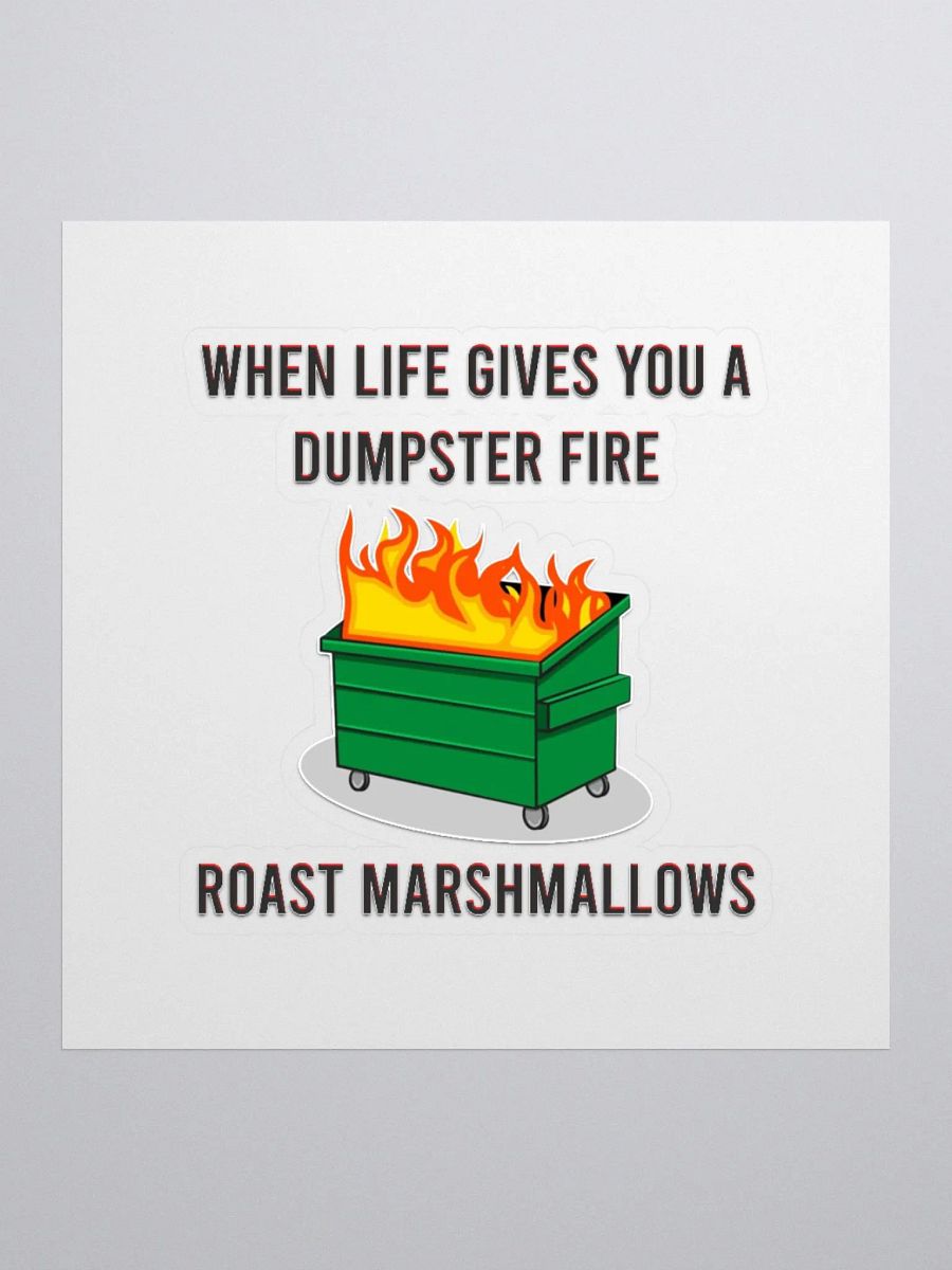 Dumpster Fire - Sticker product image (1)