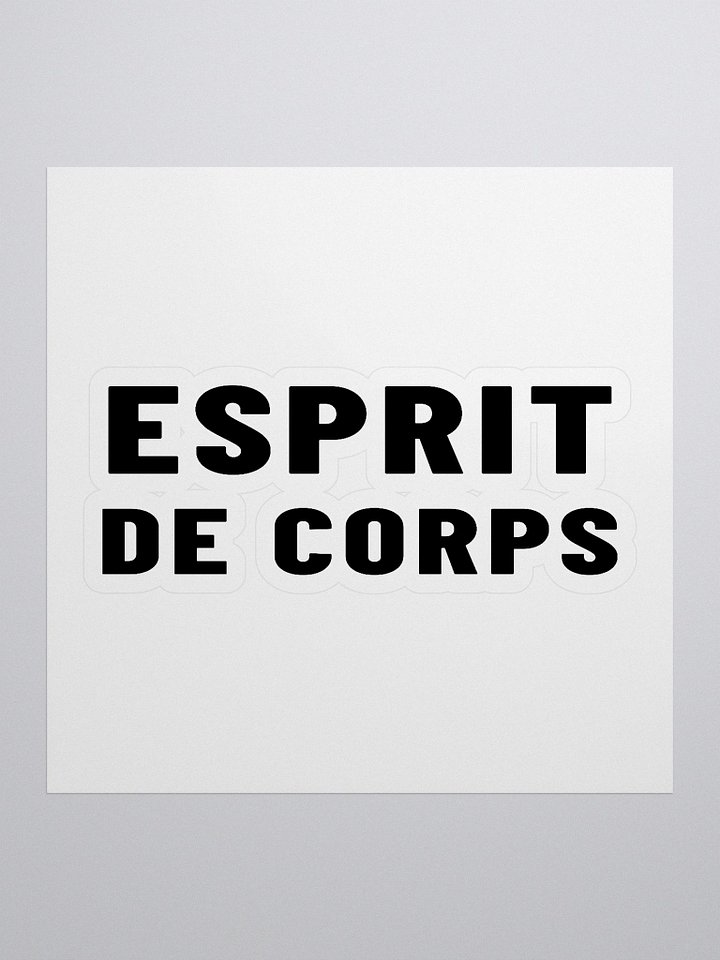 Esprit Logo Sticker product image (1)