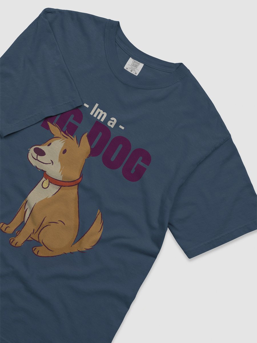 Big Dog Internet Sensation Tee product image (53)