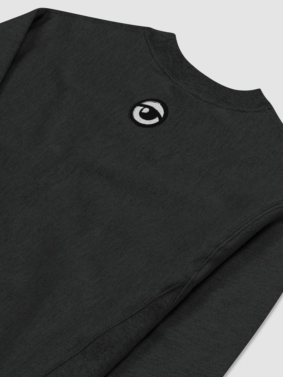See Hear Speak Champion Pullover (B) product image (4)
