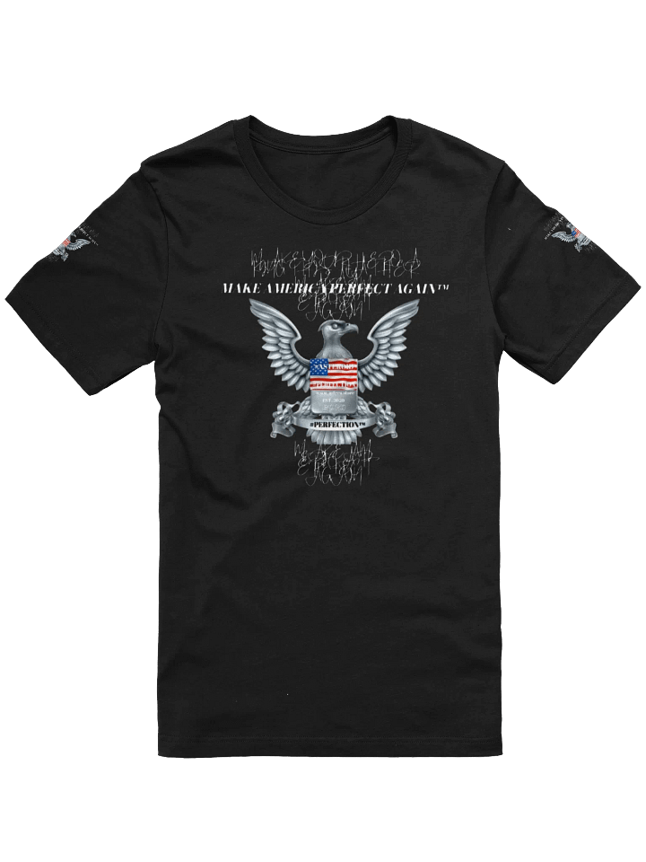 MAPA-MAKE AMERICA PERFECT AGAIN T-SHIRT product image (11)