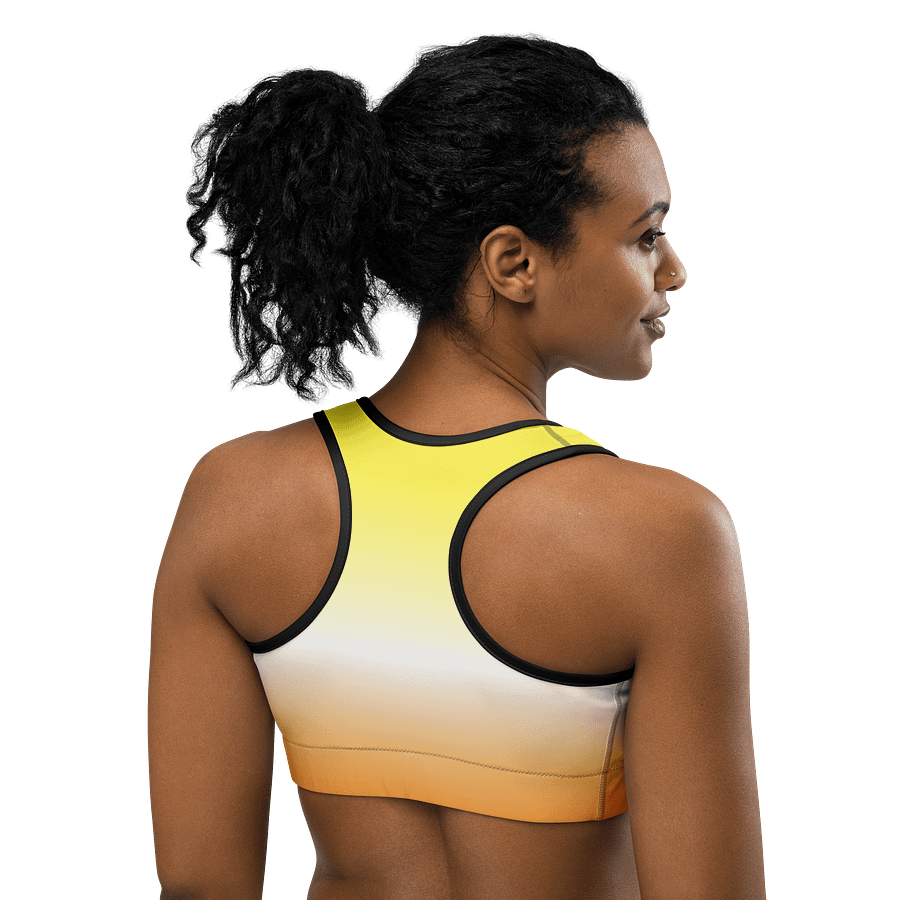 Maverique Pride Gradient Sports Bra product image (4)