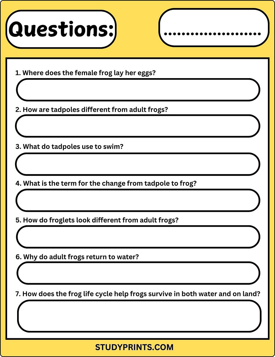 Frog Life Cycle Reading Comprehension Worksheet product image (3)