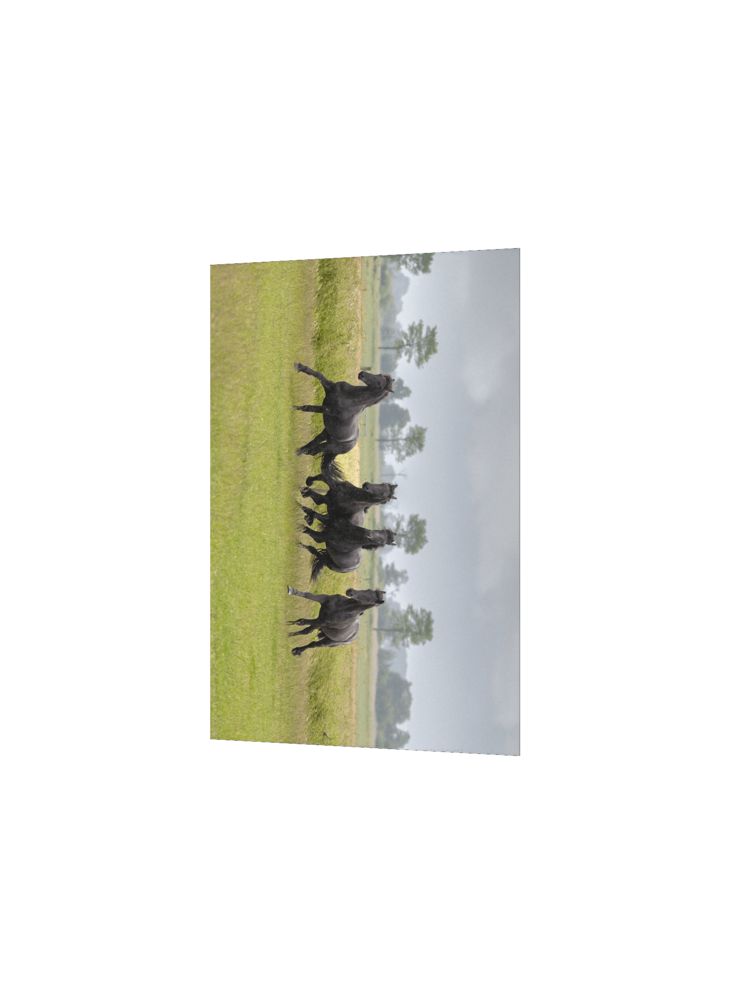 Wûnder, Willem, Wytse W & Wytse product image (3)