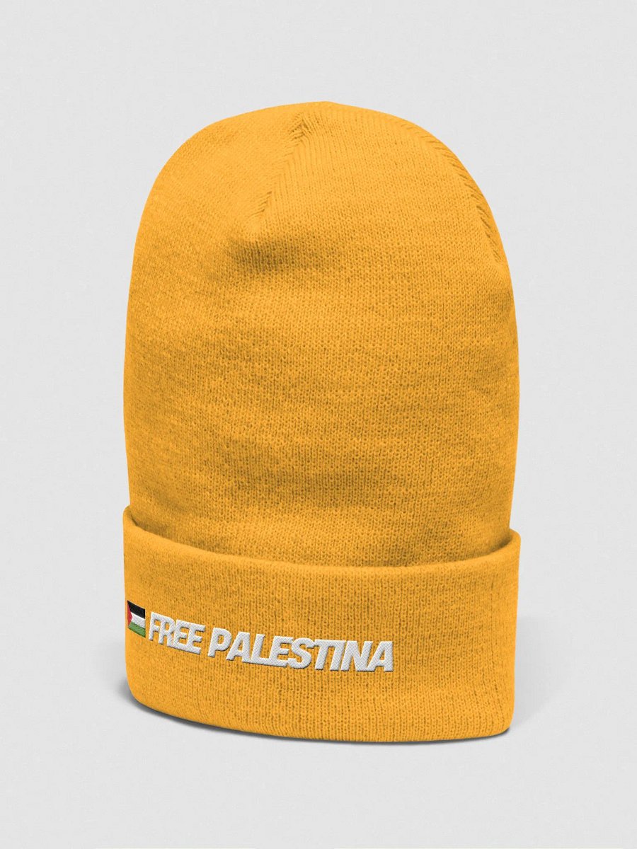 Yupoong Cuffed Beanie | FREE PALESTINA product image (3)