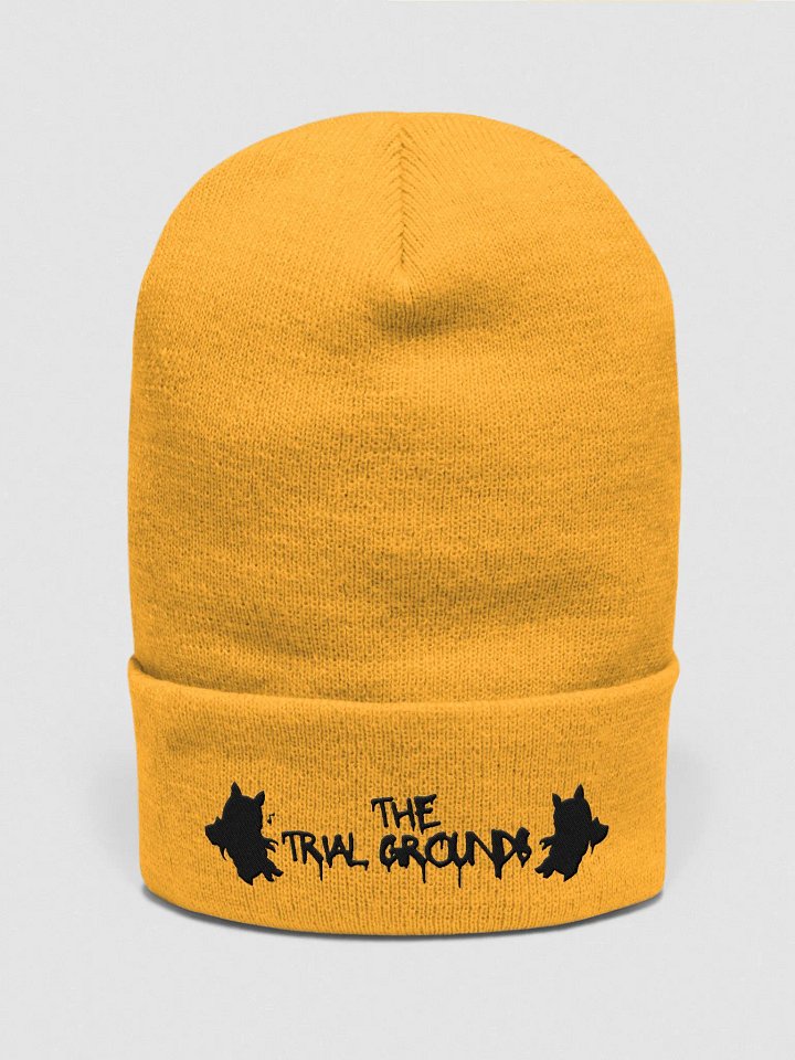 Community beanie product image (3)