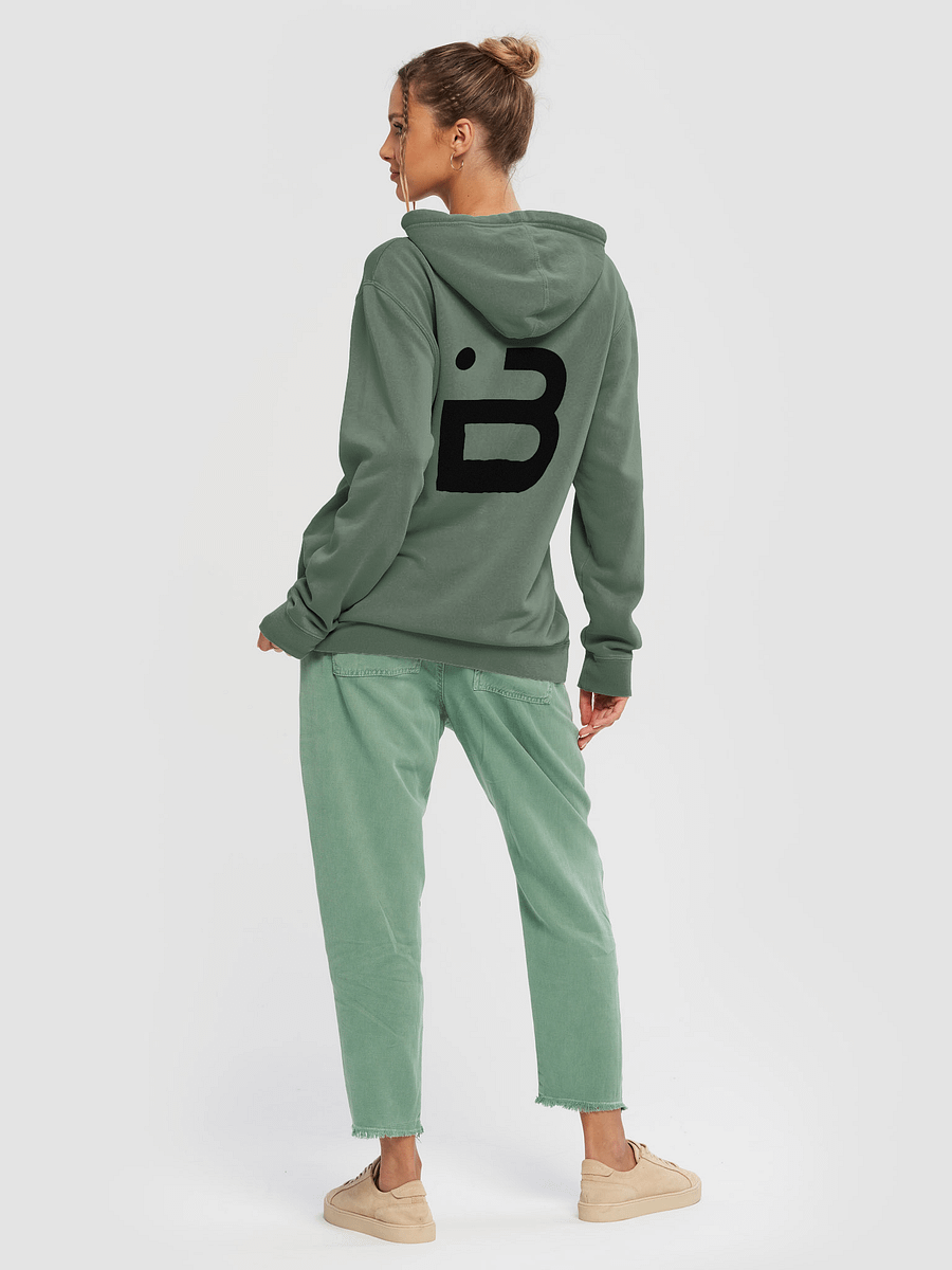 BUIII Originals Logo Black Premium Vintage Hoodie product image (26)