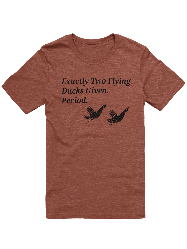 Exactly Two Flying Ducks Given product image (1)