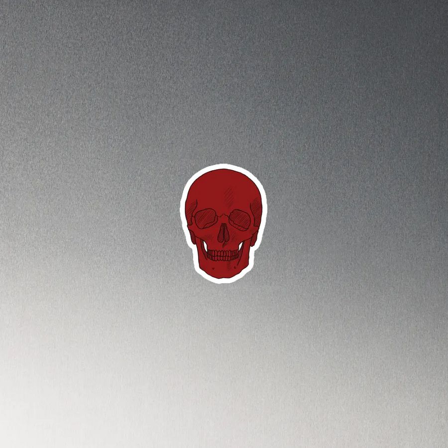 Skull magnet product image (4)