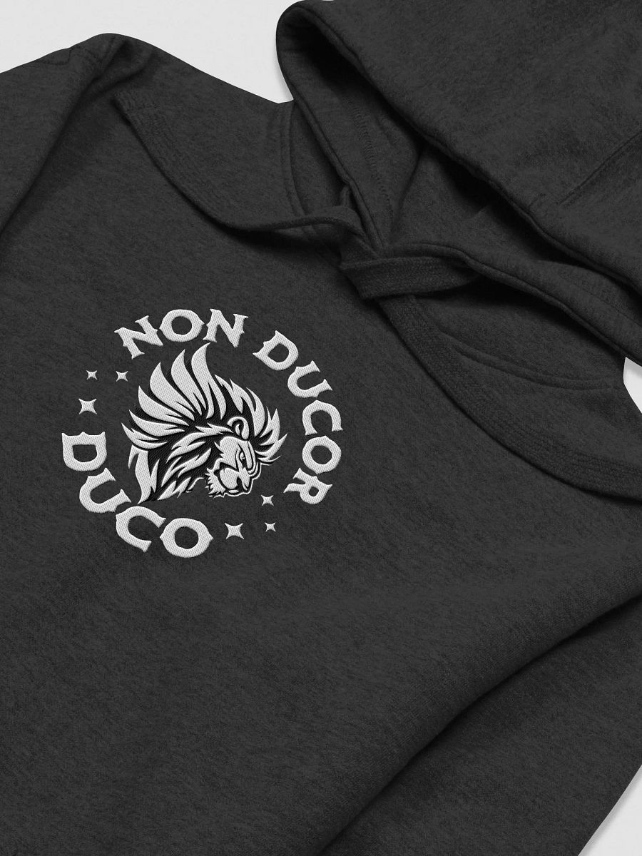 Non Ducor Duco Hoodie product image (12)