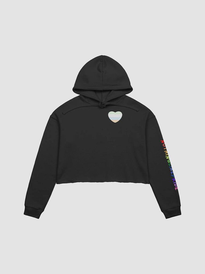 Unlabeled Pride Cropped Hoodie product image (3)