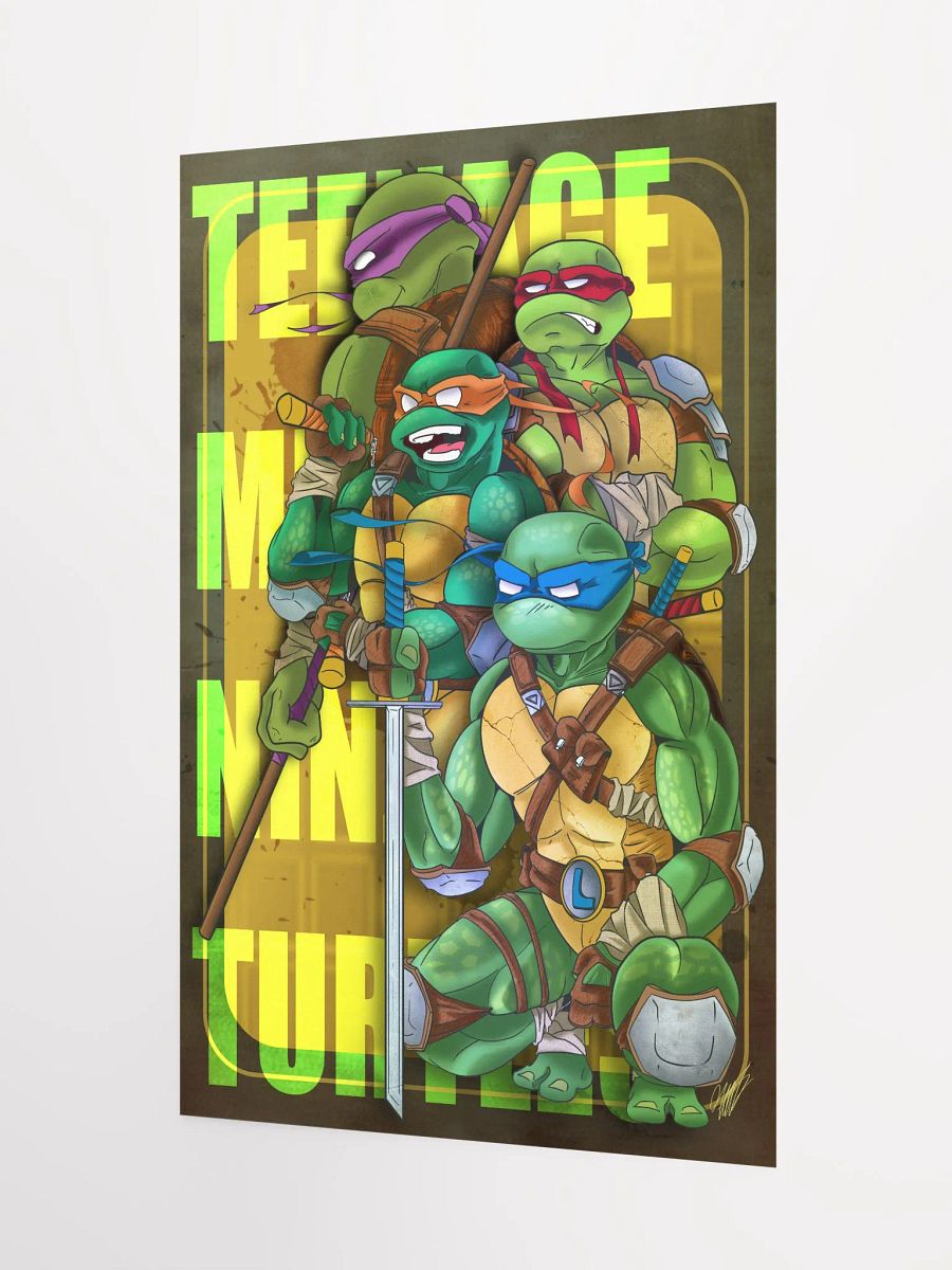 Heroes in a Half Shell (Print) product image (3)