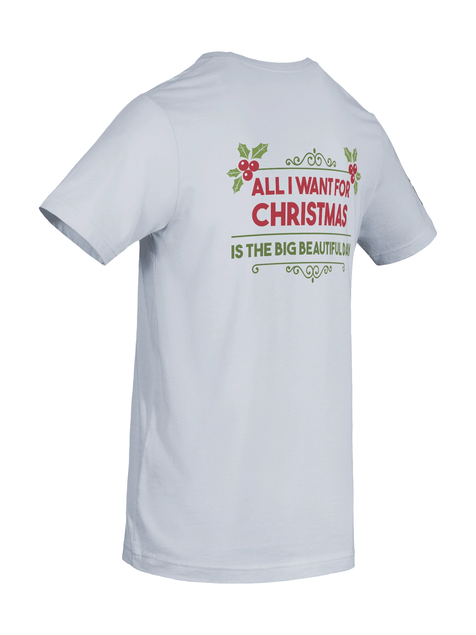 All I Want For Christmas Is... Tee | Bella+Canvas product image (10)