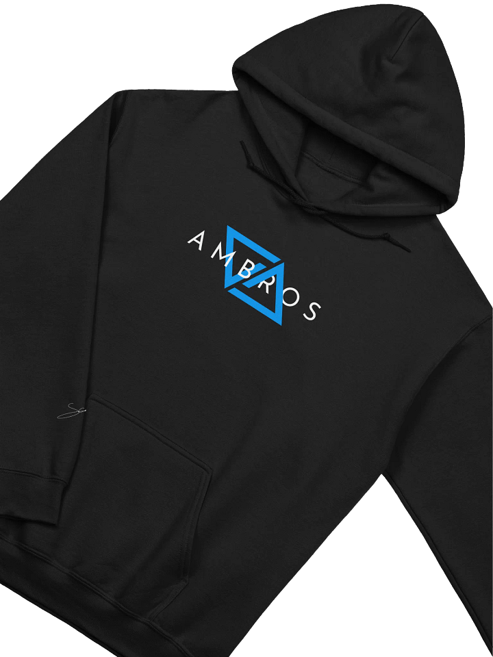 The Statement Hoodie product image (2)