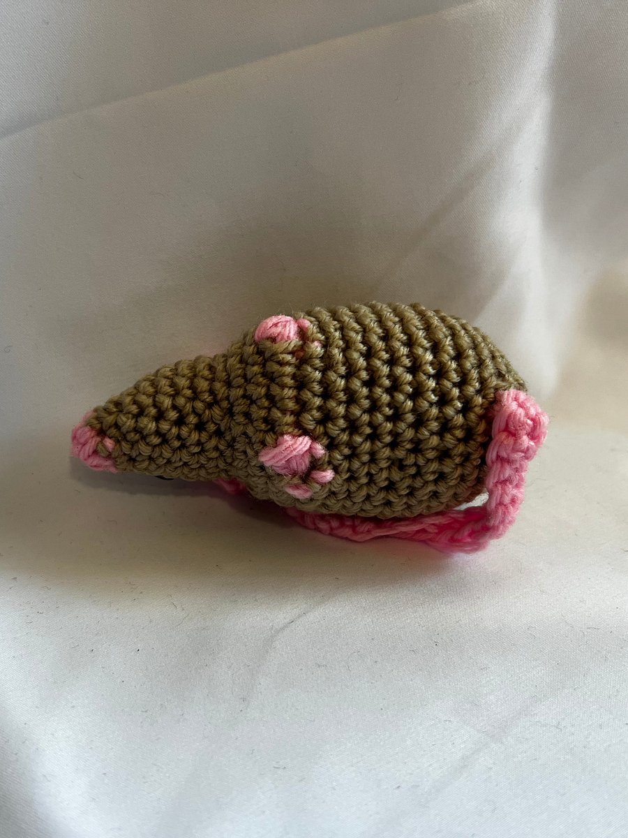 Scrappy the Street Rat product image (8)