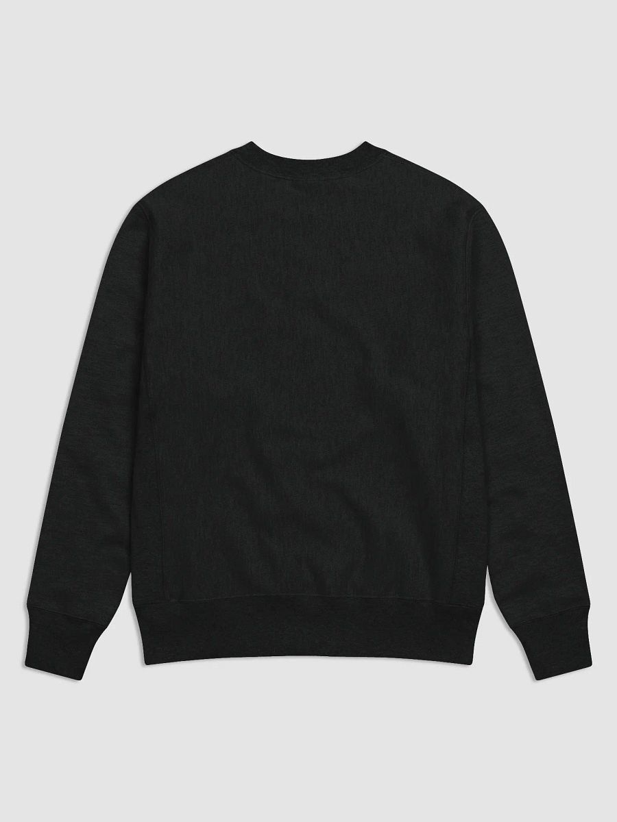 AquaCube Sweatshirt product image (2)