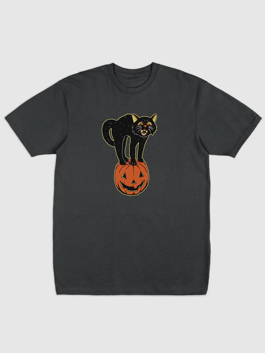 Retro Black Cat and Pumpkin product image (1)